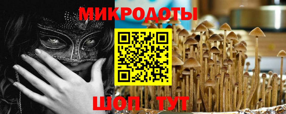 Арсеньев  купить наркотики сайты  Вход с VPN  Псилоцибиновые грибы Cubensis 